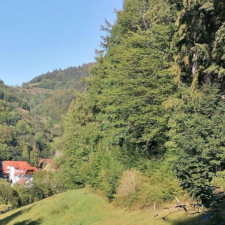 Huberhof Pfaffenbach Vila Gengenbach Exterior foto